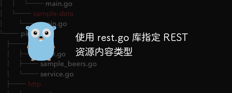 使用 rest.go 库指定 REST 资源内容类型
