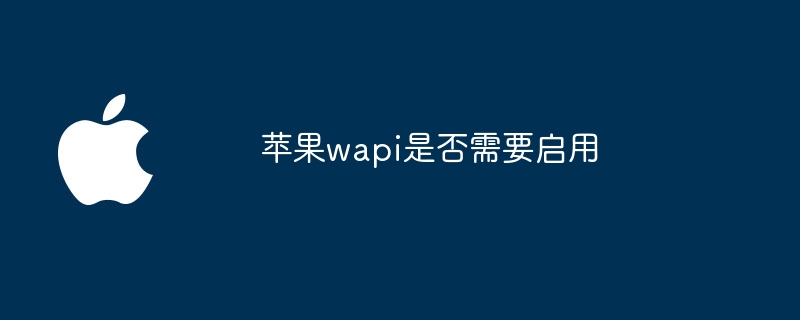 苹果wapi是否需要启用