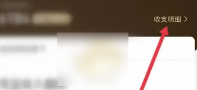 点淘app怎么查看元宝明细 点淘查看元宝明细方法
