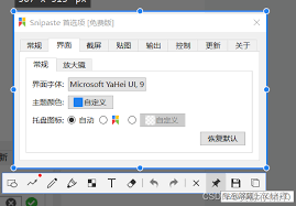 Snipaste如何自定义截图区域形状