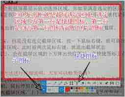 Snipaste如何自定义截图区域形状