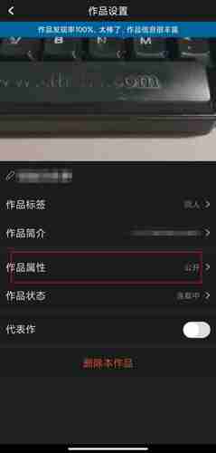 汤圆创作怎么设置仅自己可见 汤圆创作设置作品仅自己可见方法