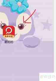 题拍拍密码修改方法