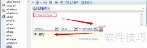 灵格斯使用指南：快速上手与功能介绍