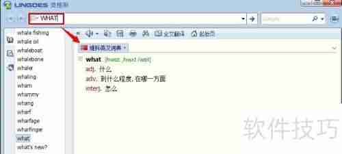 灵格斯使用指南：快速上手与功能介绍