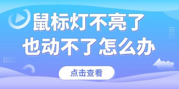鼠标灯不亮无法使用？快速排查解决方法