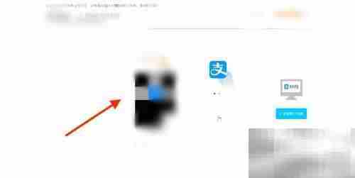 Switch商店支付宝付款教程