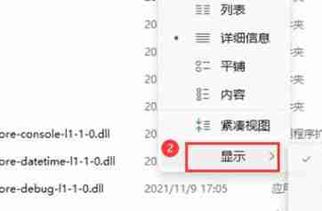 Win11如何展示文件扩展名？Win11展示文件扩展名的方法
