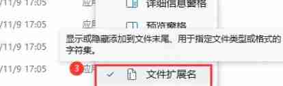 Win11如何展示文件扩展名？Win11展示文件扩展名的方法