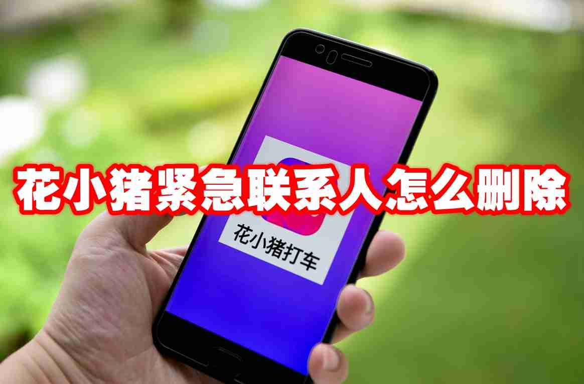花小猪紧急联系人怎么删除