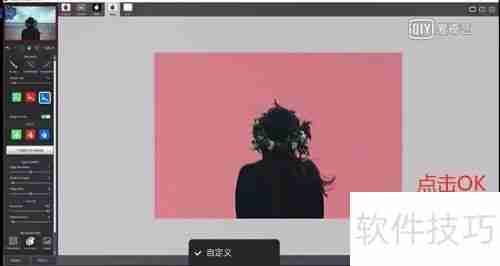 Topaz Remask安装使用指南