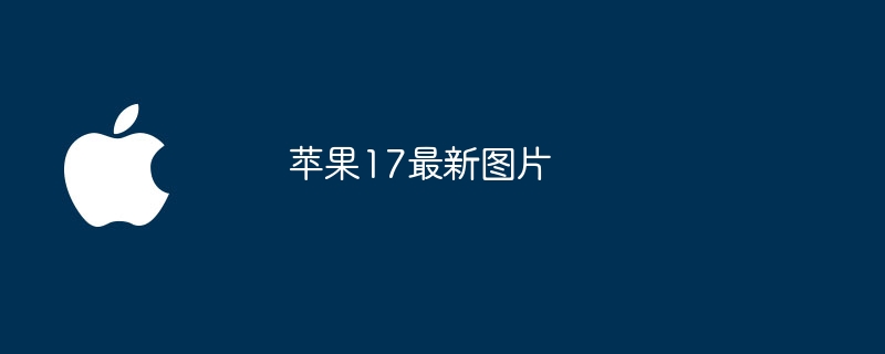 苹果17最新图片