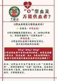 O型血是不是万能血