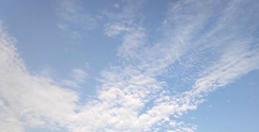 抖音极速版年度报告怎么看 具体操作步骤