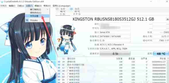 CrystalDiskInfo怎么设置字体-CrystalDiskInfo设置字体的方法