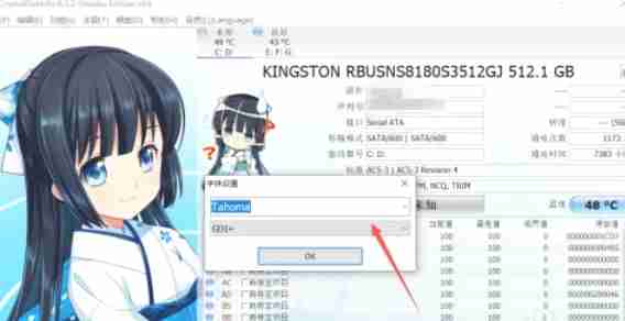 CrystalDiskInfo怎么设置字体-CrystalDiskInfo设置字体的方法