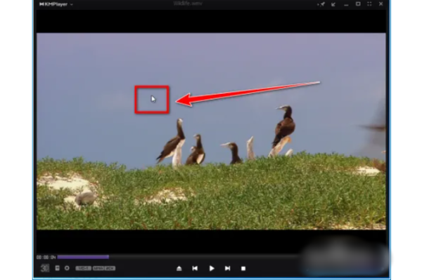kmplayer plus如何调整字幕?kmplayer plus调整字幕的操作方法