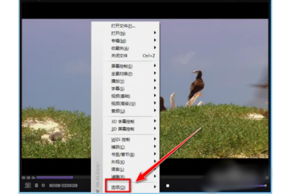 kmplayer plus如何调整字幕?kmplayer plus调整字幕的操作方法