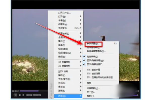 kmplayer plus如何调整字幕?kmplayer plus调整字幕的操作方法