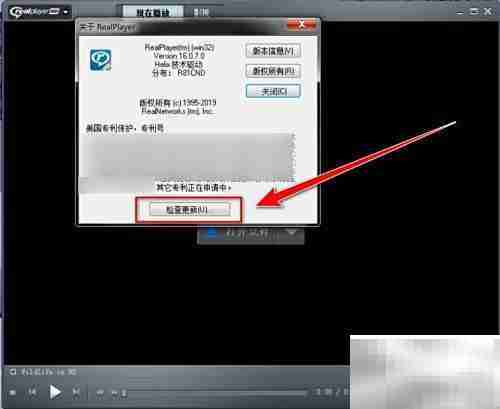 如何检查RealPlayer版本更新