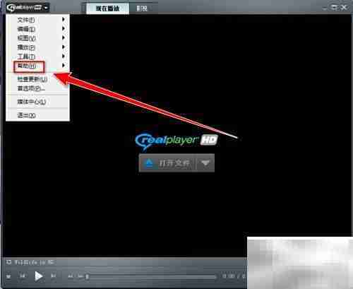 如何检查RealPlayer版本更新