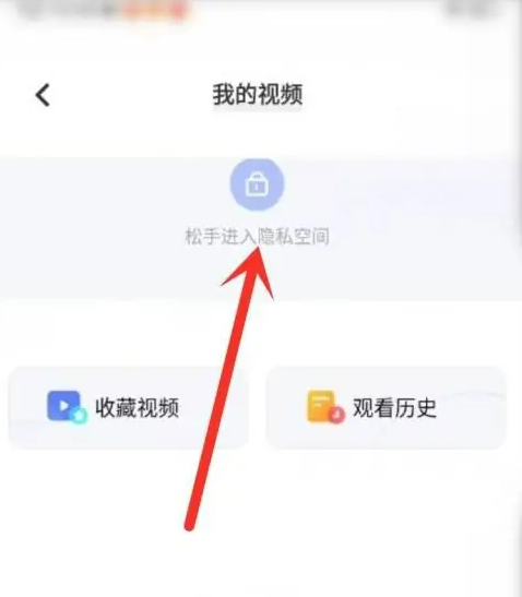 vivo浏览器隐私空间视频恢复 vivo浏览器找移入隐私空间的视频方法
