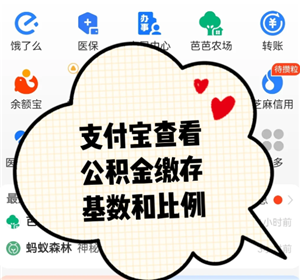 支付宝公积金缴费记录查询在哪查 支付宝公积金缴费记录查询查不到怎么办