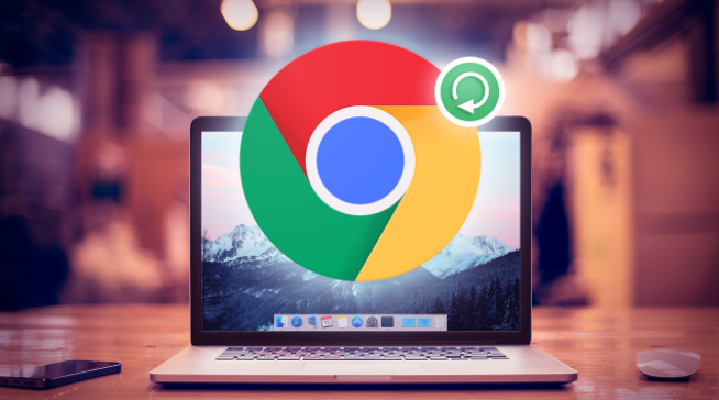 Chrome浏览器下载安装包过大是否可以精简组件
