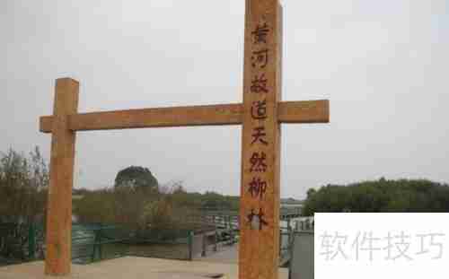 黄河口生态旅游区：探索自然之美与野生禽鸟的天堂