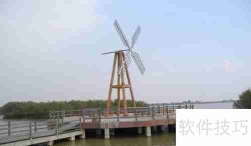 黄河口生态旅游区：探索自然之美与野生禽鸟的天堂