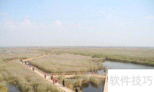黄河口生态旅游区：自然与禽鸟的美丽天堂