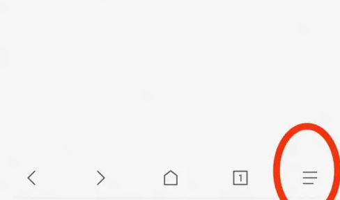 Via浏览器禁用JS方法详解