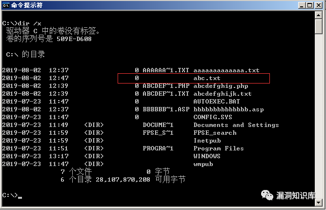 IIS - 短文件名猜解漏洞