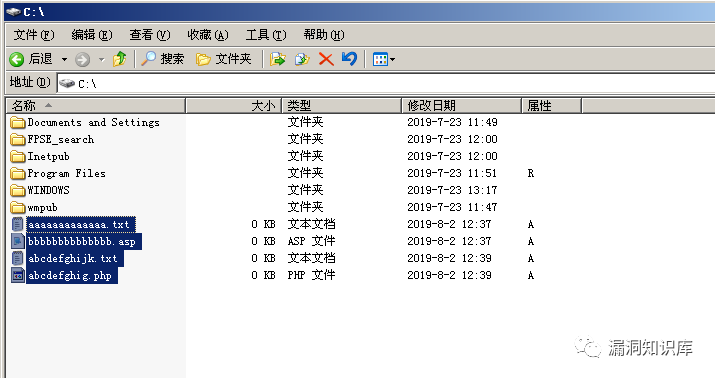 IIS - 短文件名猜解漏洞