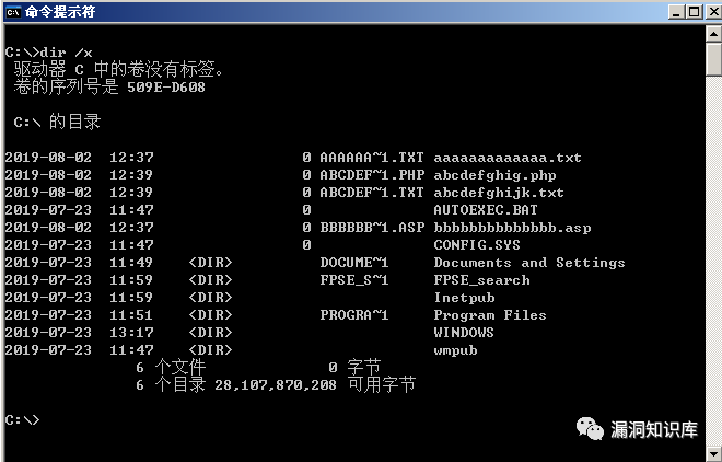IIS - 短文件名猜解漏洞