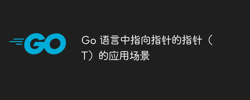 Go 语言中指向指针的指针（T）的应用场景
