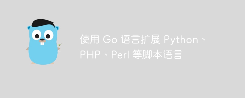 使用 Go 语言扩展 Python、PHP、Perl 等脚本语言