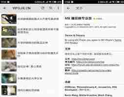 mx播放器如何彻底关闭广告