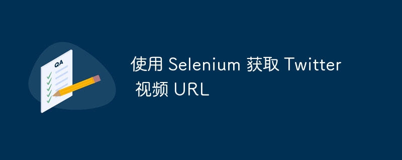 使用 Selenium 获取 Twitter 视频 URL