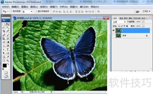 PS拼缀图特效：案例解析与实用技巧