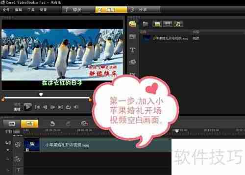 小苹果婚礼开场精彩瞬间