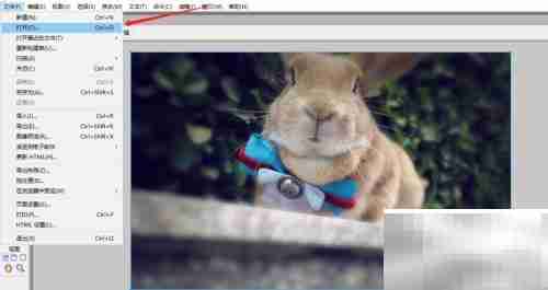 Fireworks调整图片亮度对比度