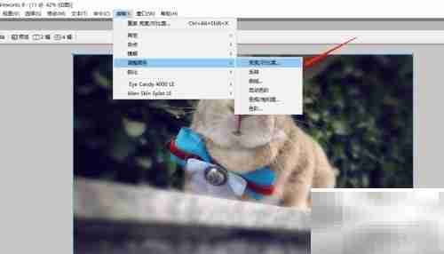 Fireworks调整图片亮度对比度