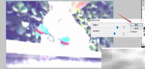 Fireworks调整图片亮度对比度