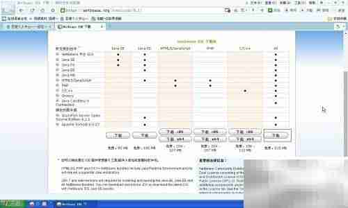 安装NetBeans IDE 8.1指南