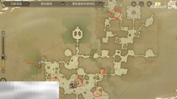 最终幻想14水晶世界黑衣森林神奇的小松鼠在哪 小松鼠位置一览