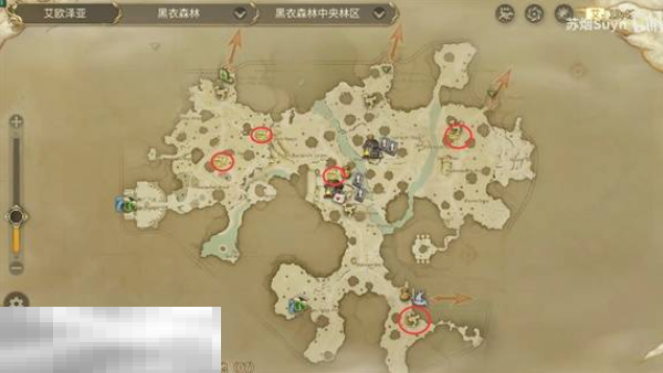 最终幻想14水晶世界黑衣森林神奇的小松鼠在哪 小松鼠位置一览