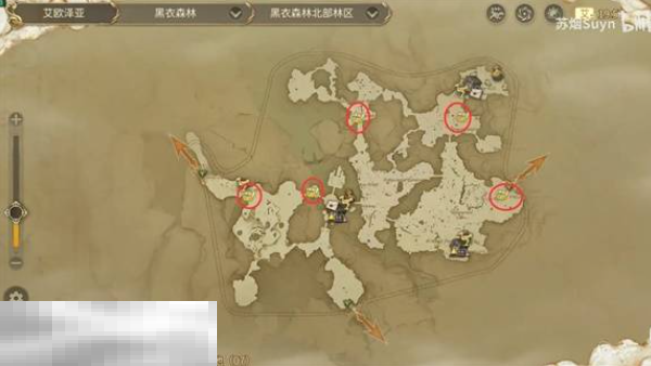 最终幻想14水晶世界黑衣森林神奇的小松鼠在哪 小松鼠位置一览