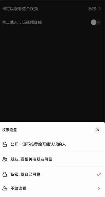 抖音怎么设置私密视频