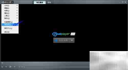 RealPlayer更改临时文件路径